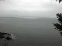 ./images/koeye/fitz-hugh/20210407/fitz-hugh20210407_080002.jpg