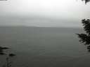 ./images/koeye/fitz-hugh/20210407/fitz-hugh20210407_120001.jpg