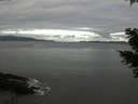 ./images/koeye/fitz-hugh/20210408/fitz-hugh20210408_080002.jpg