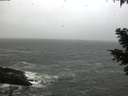 ./images/koeye/fitz-hugh/20210409/fitz-hugh20210409_080002.jpg