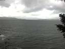 ./images/koeye/fitz-hugh/20210409/fitz-hugh20210409_120002.jpg