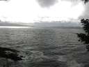 ./images/koeye/fitz-hugh/20210409/fitz-hugh20210409_160001.jpg