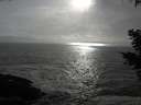 ./images/koeye/fitz-hugh/20210409/fitz-hugh20210409_180002.jpg
