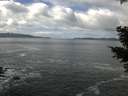 ./images/koeye/fitz-hugh/20210410/fitz-hugh20210410_120001.jpg
