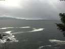 ./images/koeye/fitz-hugh/20210410/fitz-hugh20210410_140002.jpg