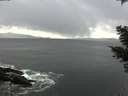 ./images/koeye/fitz-hugh/20210410/fitz-hugh20210410_160001.jpg