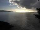 ./images/koeye/fitz-hugh/20210410/fitz-hugh20210410_180002.jpg