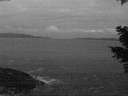 ./images/koeye/fitz-hugh/20210411/fitz-hugh20210411_060001.jpg