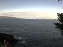 ./images/koeye/fitz-hugh/20210411/fitz-hugh20210411_100002.jpg