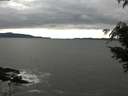 ./images/koeye/fitz-hugh/20210411/fitz-hugh20210411_160001.jpg