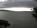 ./images/koeye/fitz-hugh/20210411/fitz-hugh20210411_180002.jpg