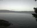 ./images/koeye/fitz-hugh/20210412/fitz-hugh20210412_060003.jpg