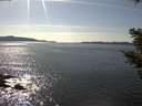 ./images/koeye/fitz-hugh/20210412/fitz-hugh20210412_160002.jpg