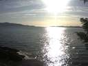 ./images/koeye/fitz-hugh/20210412/fitz-hugh20210412_180002.jpg