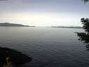 ./images/koeye/fitz-hugh/20210413/fitz-hugh20210413_100001.jpg