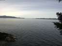./images/koeye/fitz-hugh/20210413/fitz-hugh20210413_120002.jpg