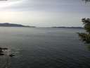 ./images/koeye/fitz-hugh/20210413/fitz-hugh20210413_140001.jpg