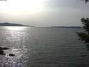 ./images/koeye/fitz-hugh/20210413/fitz-hugh20210413_160001.jpg