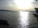 ./images/koeye/fitz-hugh/20210413/fitz-hugh20210413_180002.jpg