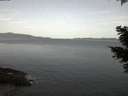 ./images/koeye/fitz-hugh/20210414/fitz-hugh20210414_060002.jpg