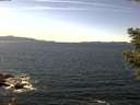 ./images/koeye/fitz-hugh/20210414/fitz-hugh20210414_140001.jpg