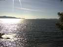 ./images/koeye/fitz-hugh/20210414/fitz-hugh20210414_160001.jpg