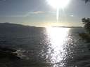 ./images/koeye/fitz-hugh/20210414/fitz-hugh20210414_180002.jpg