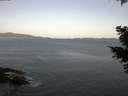 ./images/koeye/fitz-hugh/20210415/fitz-hugh20210415_060002.jpg