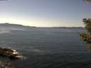 ./images/koeye/fitz-hugh/20210415/fitz-hugh20210415_140002.jpg