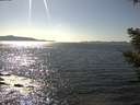 ./images/koeye/fitz-hugh/20210415/fitz-hugh20210415_160001.jpg