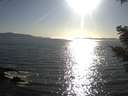 ./images/koeye/fitz-hugh/20210415/fitz-hugh20210415_180002.jpg
