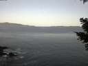 ./images/koeye/fitz-hugh/20210416/fitz-hugh20210416_060002.jpg