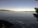 ./images/koeye/fitz-hugh/20210416/fitz-hugh20210416_100001.jpg