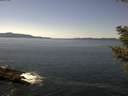 ./images/koeye/fitz-hugh/20210416/fitz-hugh20210416_140002.jpg
