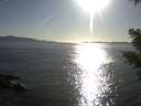 ./images/koeye/fitz-hugh/20210416/fitz-hugh20210416_180002.jpg