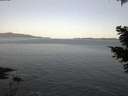 ./images/koeye/fitz-hugh/20210417/fitz-hugh20210417_060001.jpg
