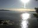 ./images/koeye/fitz-hugh/20210417/fitz-hugh20210417_180001.jpg