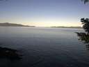 ./images/koeye/fitz-hugh/20210418/fitz-hugh20210418_080002.jpg