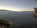 ./images/koeye/fitz-hugh/20210418/fitz-hugh20210418_140002.jpg