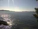 ./images/koeye/fitz-hugh/20210418/fitz-hugh20210418_160002.jpg