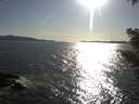 ./images/koeye/fitz-hugh/20210418/fitz-hugh20210418_180001.jpg