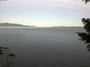 ./images/koeye/fitz-hugh/20210419/fitz-hugh20210419_060001.jpg