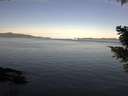 ./images/koeye/fitz-hugh/20210419/fitz-hugh20210419_080002.jpg
