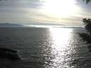 ./images/koeye/fitz-hugh/20210419/fitz-hugh20210419_180002.jpg