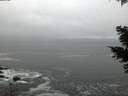 ./images/koeye/fitz-hugh/20210420/fitz-hugh20210420_060001.jpg