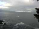 ./images/koeye/fitz-hugh/20210420/fitz-hugh20210420_080002.jpg