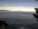 ./images/koeye/fitz-hugh/20210420/fitz-hugh20210420_100001.jpg