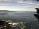 ./images/koeye/fitz-hugh/20210420/fitz-hugh20210420_120001.jpg