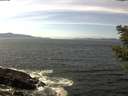 ./images/koeye/fitz-hugh/20210420/fitz-hugh20210420_140002.jpg