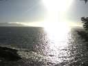 ./images/koeye/fitz-hugh/20210420/fitz-hugh20210420_175501.jpg